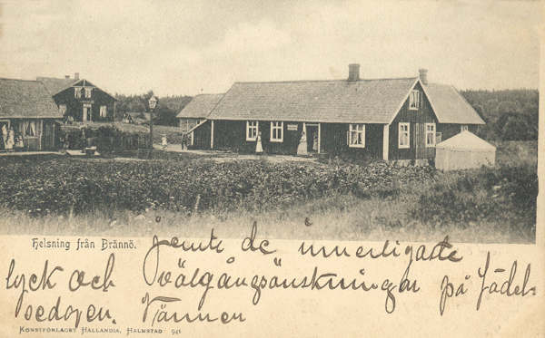 Historiskt vykort från omkring 1900: Hälsning från Brännö, Brännögård